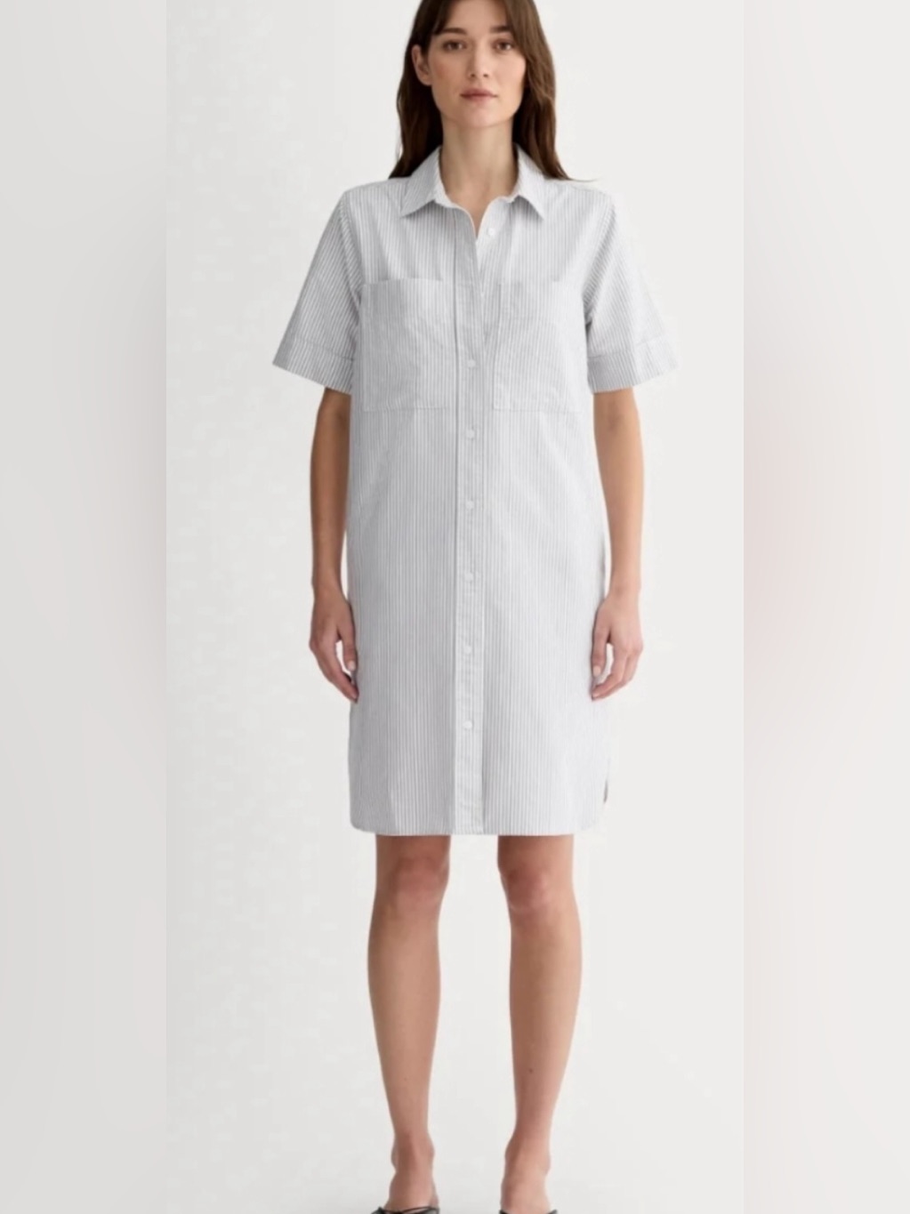 Everlane The Oxford Short-Sleeve Shirt Dress Oversized Relaxed Fit Med Casual
